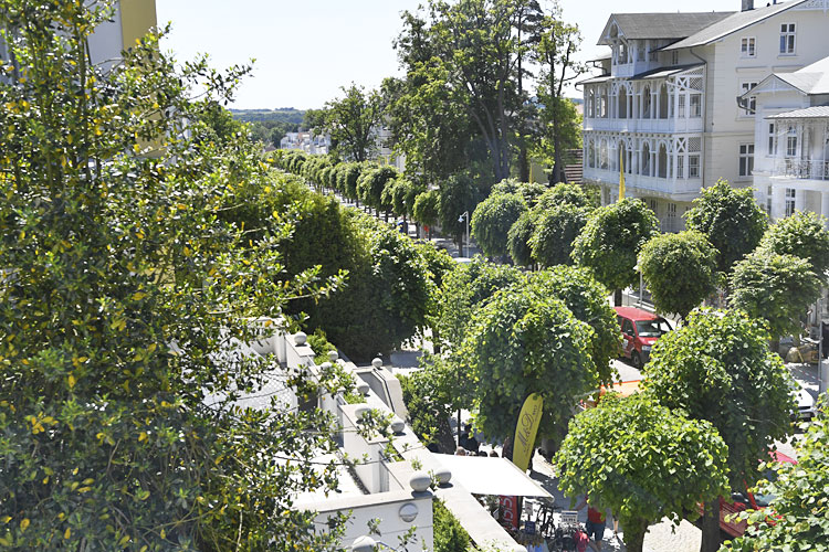 Blick-auf-die-Wilhelmstrasse-vom-Wintergarten